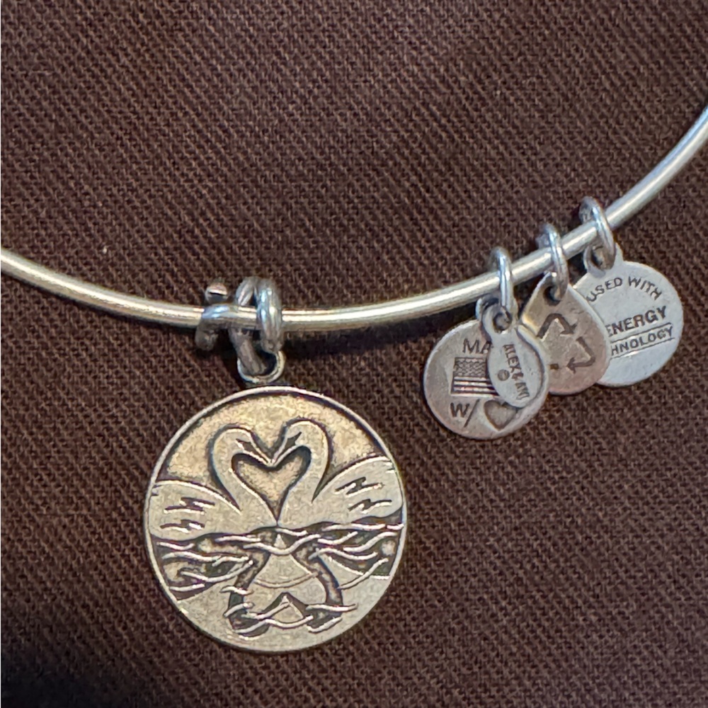 Alex and Ani Silver Charm Bracelet. SWAN LOVE WITH HEART